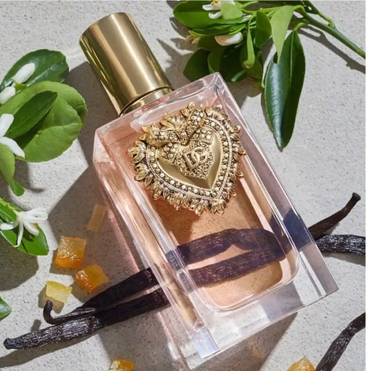 Dévotion dolce & gabana 100ml Parfumerie MAMA