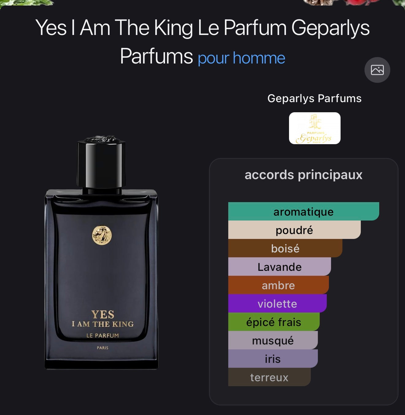 GEPARLYS – YES I’M THE KING LE PARFUM 100 ML Parfumerie MAMA