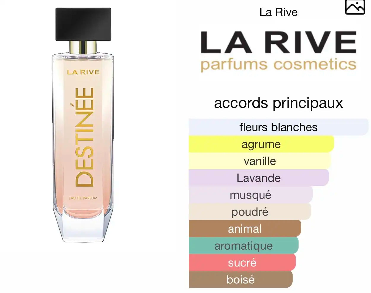 La rive destinée Parfumerie MAMA