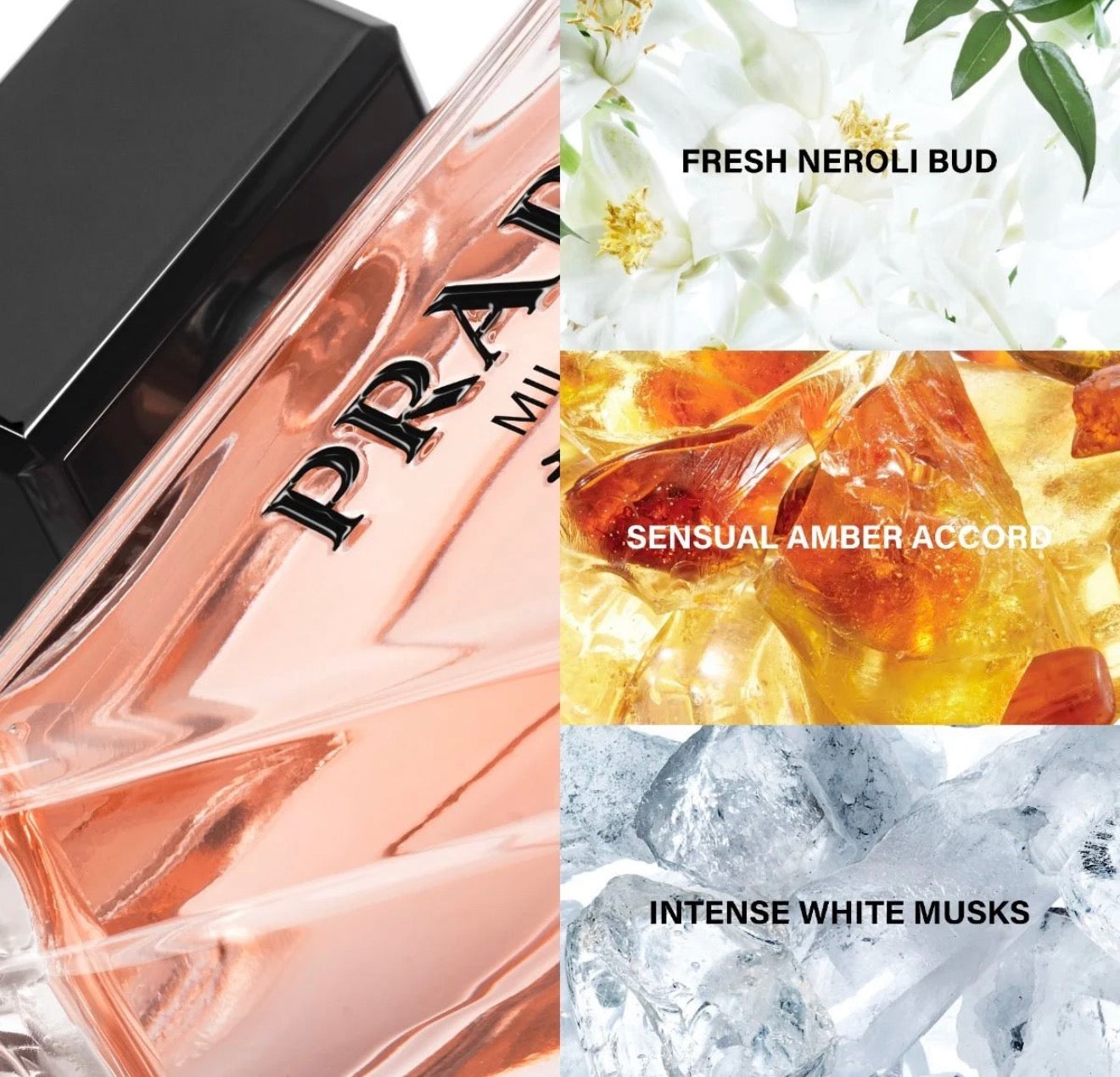 PRADA
PARADOXE EAU DE PARFUM 90 ML Parfumerie MAMA